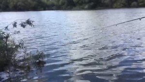 ❗Однажды на рыбалке ?