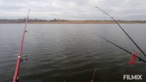 фидерная рыбалка на карася! для начинающих !!!