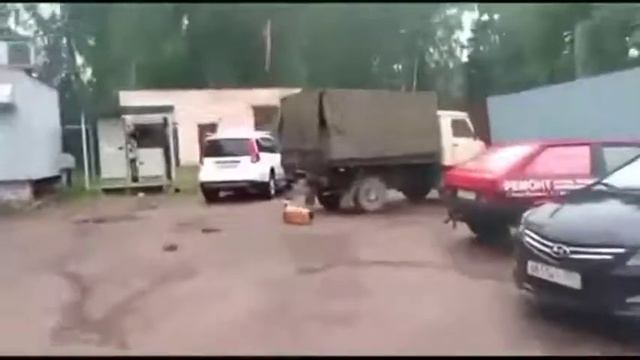 Джек-рассел-терьер поиграл с кегой