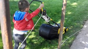 Как правильно косить газон.)))