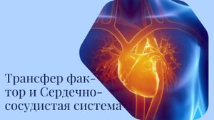 Роль Трансфер факторов в сердечно-сосудистой   системе