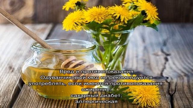 Как приготовить мед из соцветий одуванчиков? смотреть онлайн