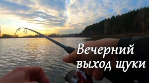 Шикарный Вечерний выход Щуки на пруду, Рыбалка с Лодки на спиннинг