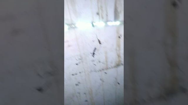 Устраняю последствие безумных покатушек на Вольвешнике!