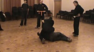 феникс джиу джитсу 24