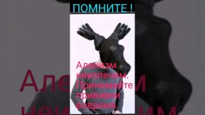 Аленизм неизлечим #рсп #куколд #меганыч #максометр #рспэтодно #отношения #загс #мд #разведенка #шсн