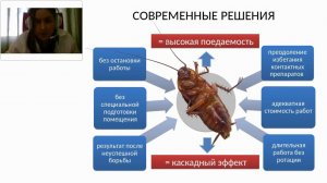 Дезинсекция. Практика гелевой обработки