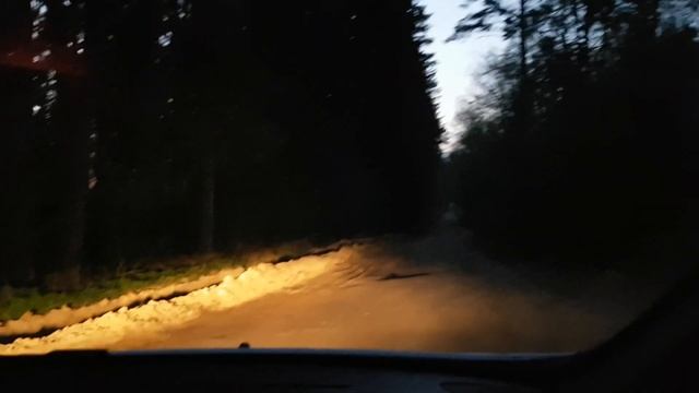 Лесная дорога. Житомирская обл. Украина смотреть онлайн