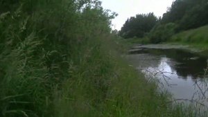 Река Галка.  Рыбалка выходного дня.  Первый день отпуска.