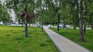 Вся правда о "Samsung Galaxy S22 Plus"