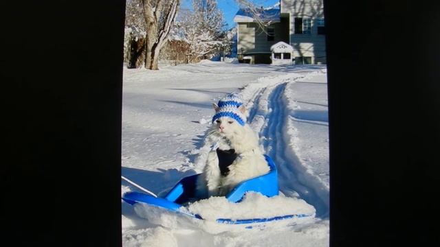 Он влюблён только в собственный сон и фото приколы. смотреть онлайн