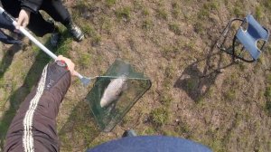 Рыбалка-ловля амура в Гостагаевской,  Красная Горка  28 апреля 2019