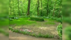 Зелёная палочка . Лев Толстой.