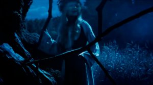 ВЕДЬМИН  СЕНОКОС