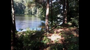 Земля на берегу Десногорского водохранилища в Смоленской области
