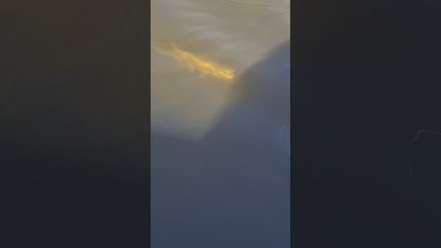 Рыбалка на Волге с гидом в Самаре