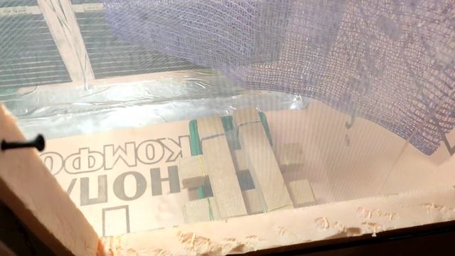 Предкуколка Черной Львинки Отправилась в Инсектарий смотреть онлайн