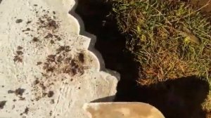 Тротуарная плитка из грязного гравия