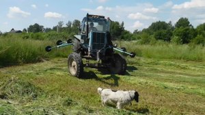 Сгребание сена .Колесно пальцевые ГРАБЛИ 6м