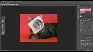 Adobe Photoshop CC 2021 Dodge and Burn Tool | PS Class - 15