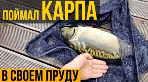 Рыбалка в своем пруду. Поймал КАРПА в своем пруду на кукурузу. Интересная рыбалка и рыба к столу..