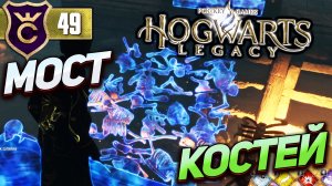 СТРАННЫЙ МОСТ ИЗ КОСТЕЙ! Hogwarts Legacy #49