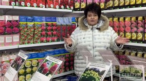 Канадские розы - 2024!!! Уже в продаже!!!