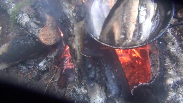 Лучший рецепт жареной рыбы от лучшего шеф повара Леса и Тайги Дмитрий Яков жарим хариус в тайге