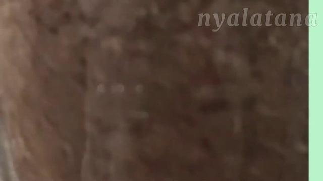 Маковая начинка за 5 минут смотреть онлайн