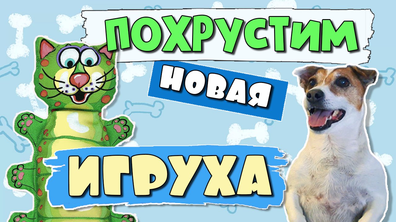 Прочные, безопасные игрушки для собак ??У Джека новая игрушка "ХРУСТЯЩИЙ зверёк"