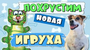 Прочные, безопасные игрушки для собак ??У Джека новая игрушка "ХРУСТЯЩИЙ зверёк"