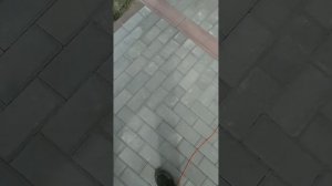 Отмостка из брусчатки, +Крыльцо