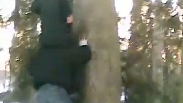 бомбочка застряла смотреть онлайн