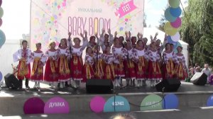 Гей, соколи
