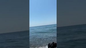 запускаем шар с желаниями с Жасмин. Лазаревское Сочи море желания исполняются ??❤️