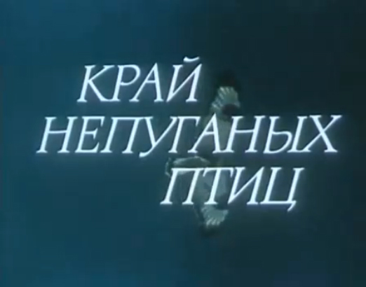 В объективе животные. Край непуганых птиц