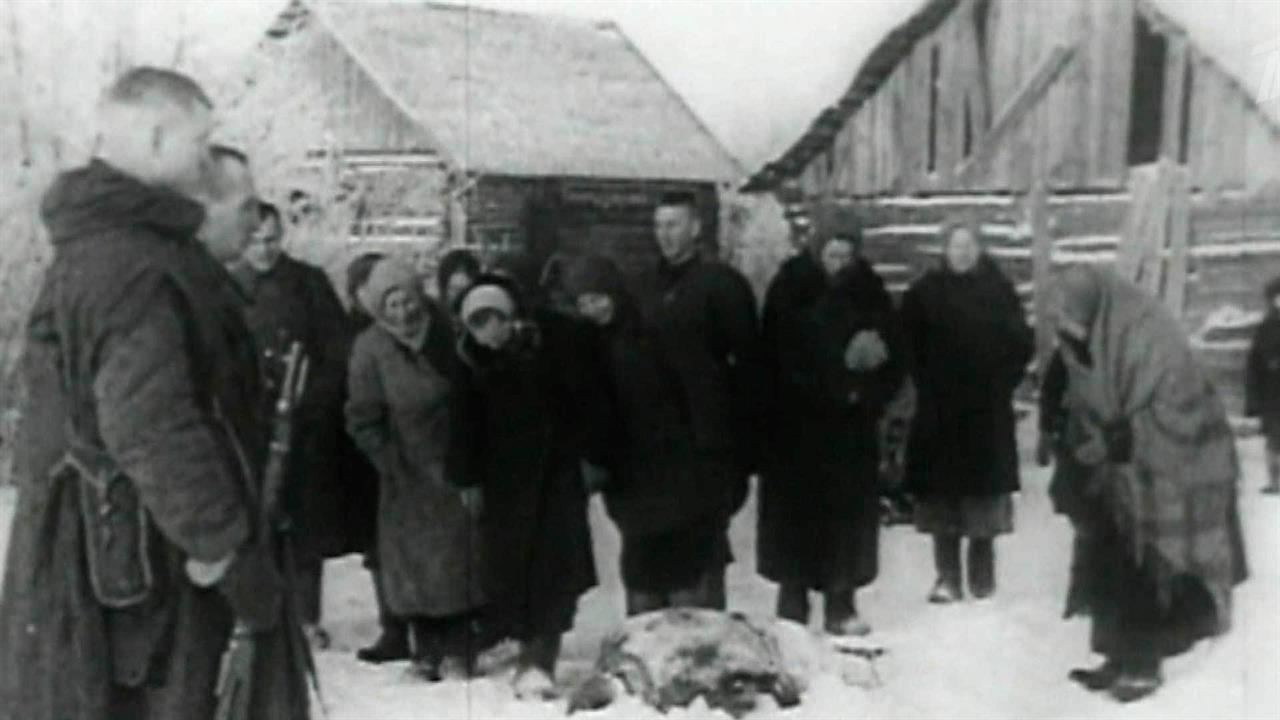 Суд Тверской области признал геноцидом действия нацистов в годы Великой Отечественной войны