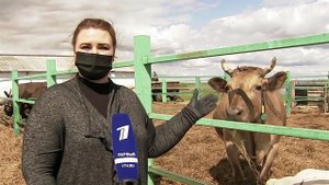 Предприниматели делятся секретами выживания во время пандемии