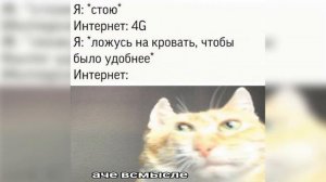 АЧЕ ВСМЫСЛЕ — ОТКУДА МЕМ?