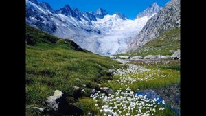 Красивые пейзажи весны HD (Beautiful scenery of spring HD)
