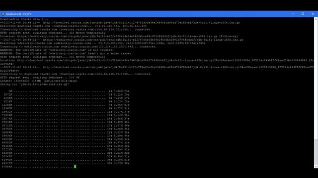 How to install JAVA 8 on Debian смотреть онлайн