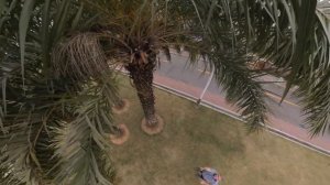 Insta360 One X. Съемка с воздуха без дрона. Нереально круто, но не 360 :-)