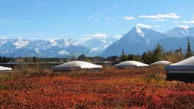 Озеленение кровель. Сады на крышах. Швейцария смотреть онлайн