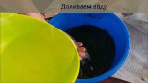 Инкубация клариевого/африканского сома. Нерест мраморного сома