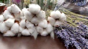 Как собрать букет из сухоцветов.