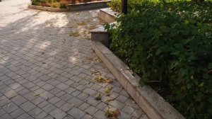 Экскурсия по общественным пространствам с блогерами Томска