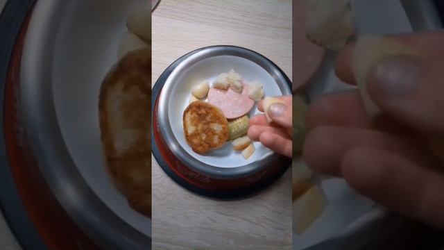 так ни в коем случае нельзя кормить собаку #mops #mops #dog #mopsik #дина #мопс #мопсик #пес #собак смотреть онлайн