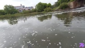 Мормышинг. Тест катушки Kaida 500.   10.06.2022.