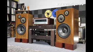 Victor SX-900 Spirit тест Oldplayer.ru