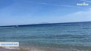 Sunrise Grand Select Montemare 5*. Видеообзор отеля в Шарм-Эль-Шейхе